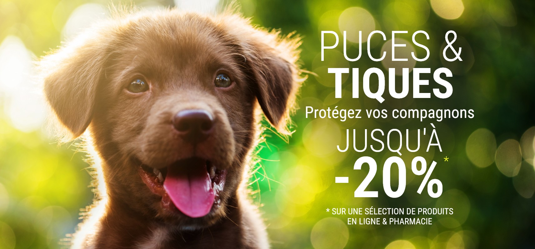 Promotion tiques et puces