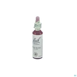 Bach Flower Remedie 37 Wild Rose 20ml