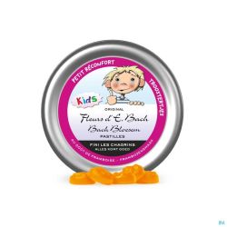 Fleurs De Bach Petit Réconfort Pastilles 50g