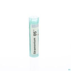 Stramonium 5ch Gr 4g Boiron