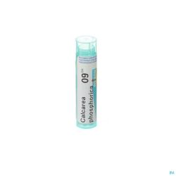 Calcarea Phosphorica 9ch Gr 4g Boiron