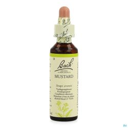 Bach Flower Remedie 21 Mustard 20ml