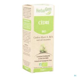 Herbalgem Cedre Macerat 15ml