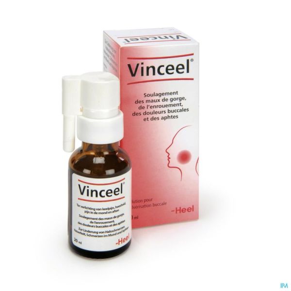 Vinceel Bouche-gorge Spr. 20ml Heel