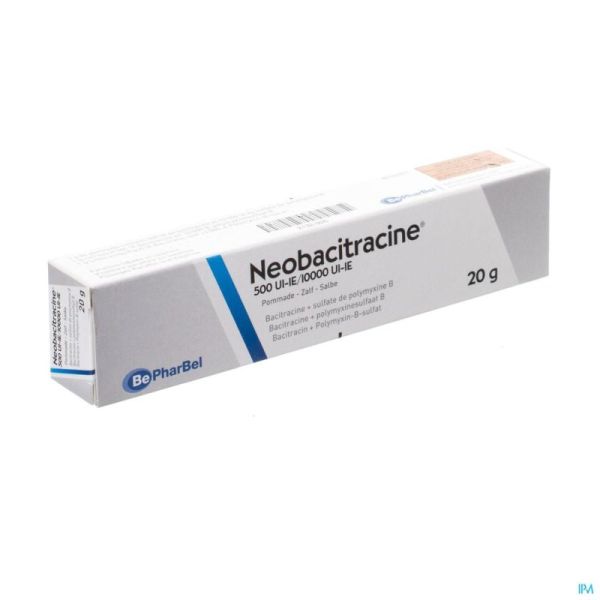 Neobacitracine Nf Pomm. Derm. 20g